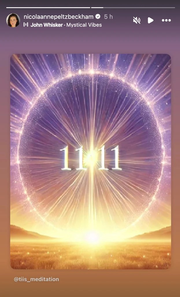 Публикацията на Никола Пелц.